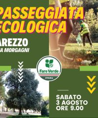 Passeggiata Ecologia Via Morgagni